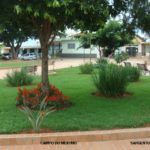 CAMPO DO MEIO (9)